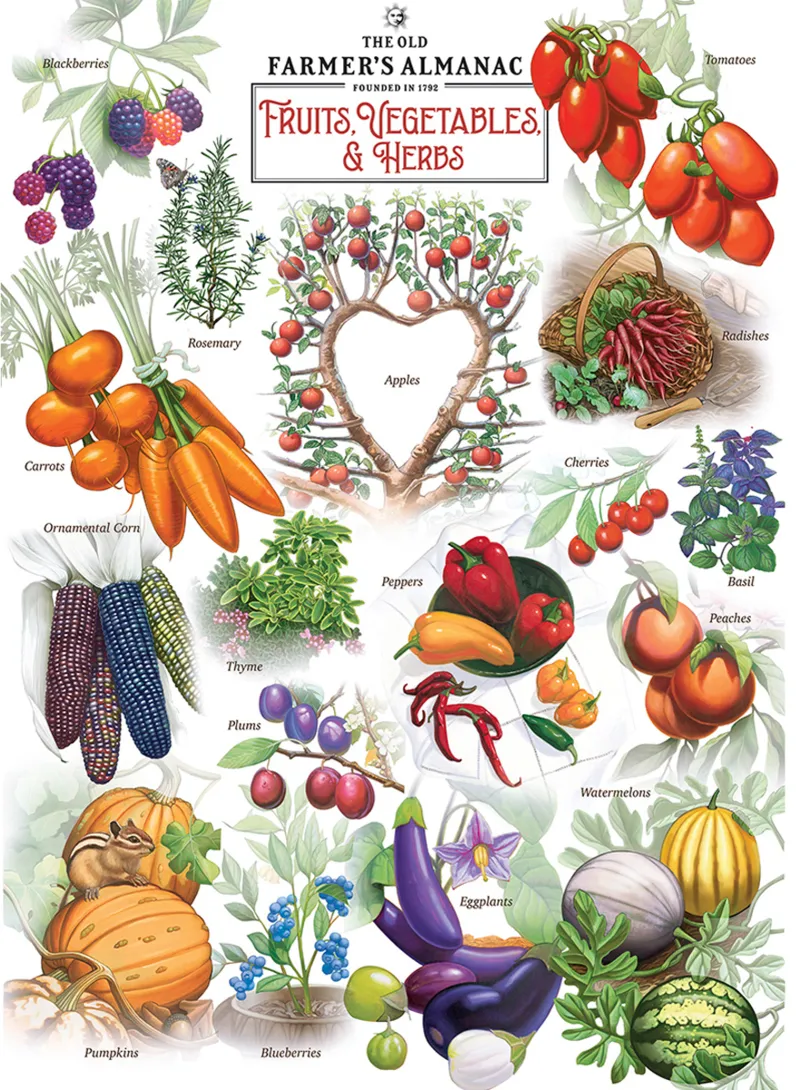 Fruits et Légumes