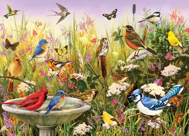 Amis à Plumes