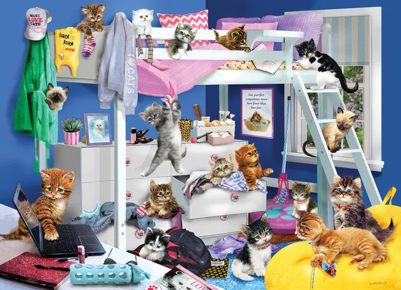 Soirée Pyjama pour Chatons