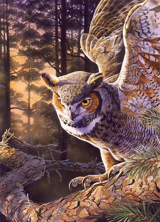 Chasseur le Soir