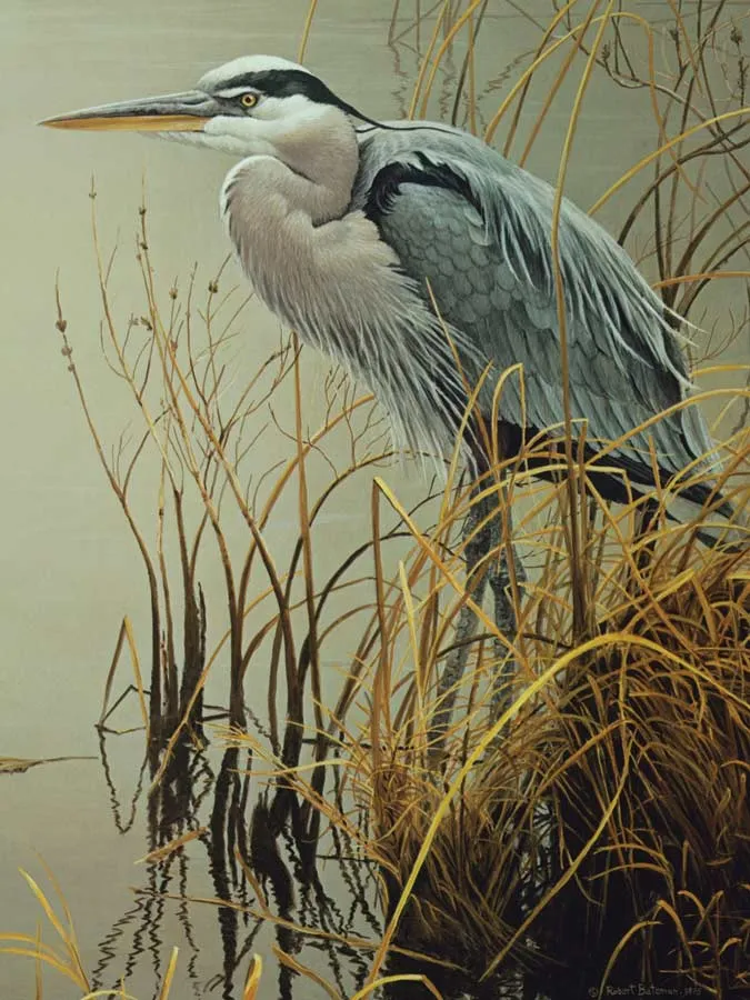 Pièces XXL - Great Blue Heron