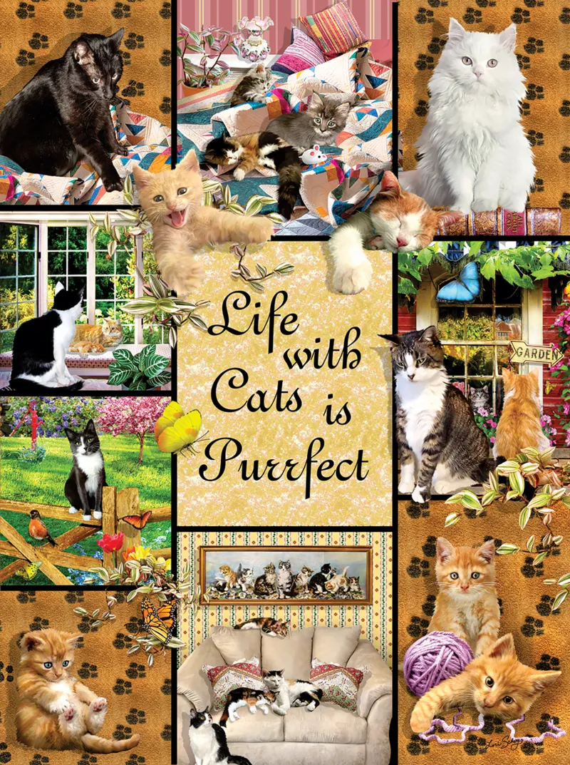 Une Vie Parfaite grâce aux Chats