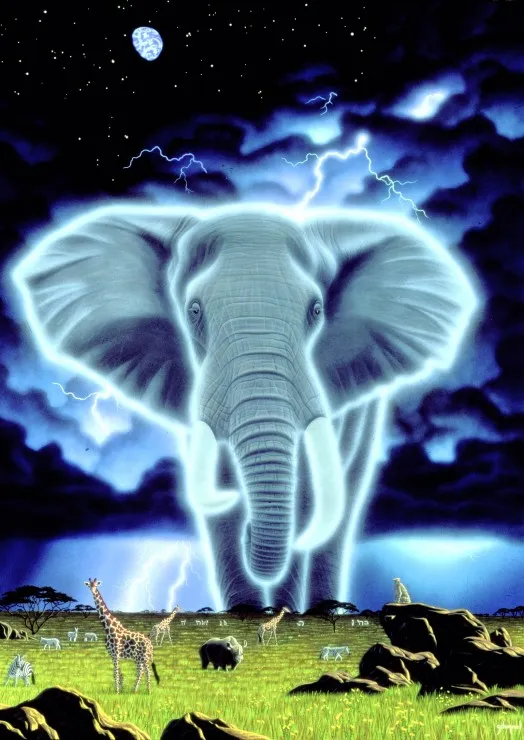 Schim Schimmel - Spirit of Africa