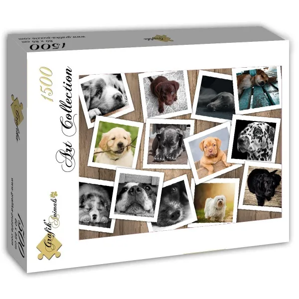 Chiens