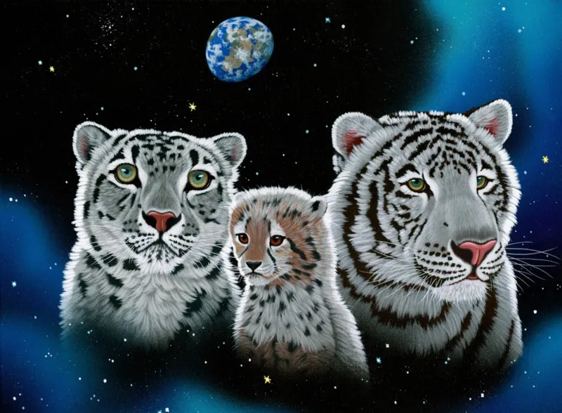 Schim Schimmel - Gentle Family