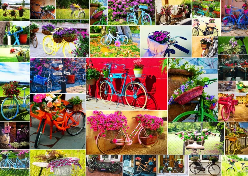 Collage - Vélos
