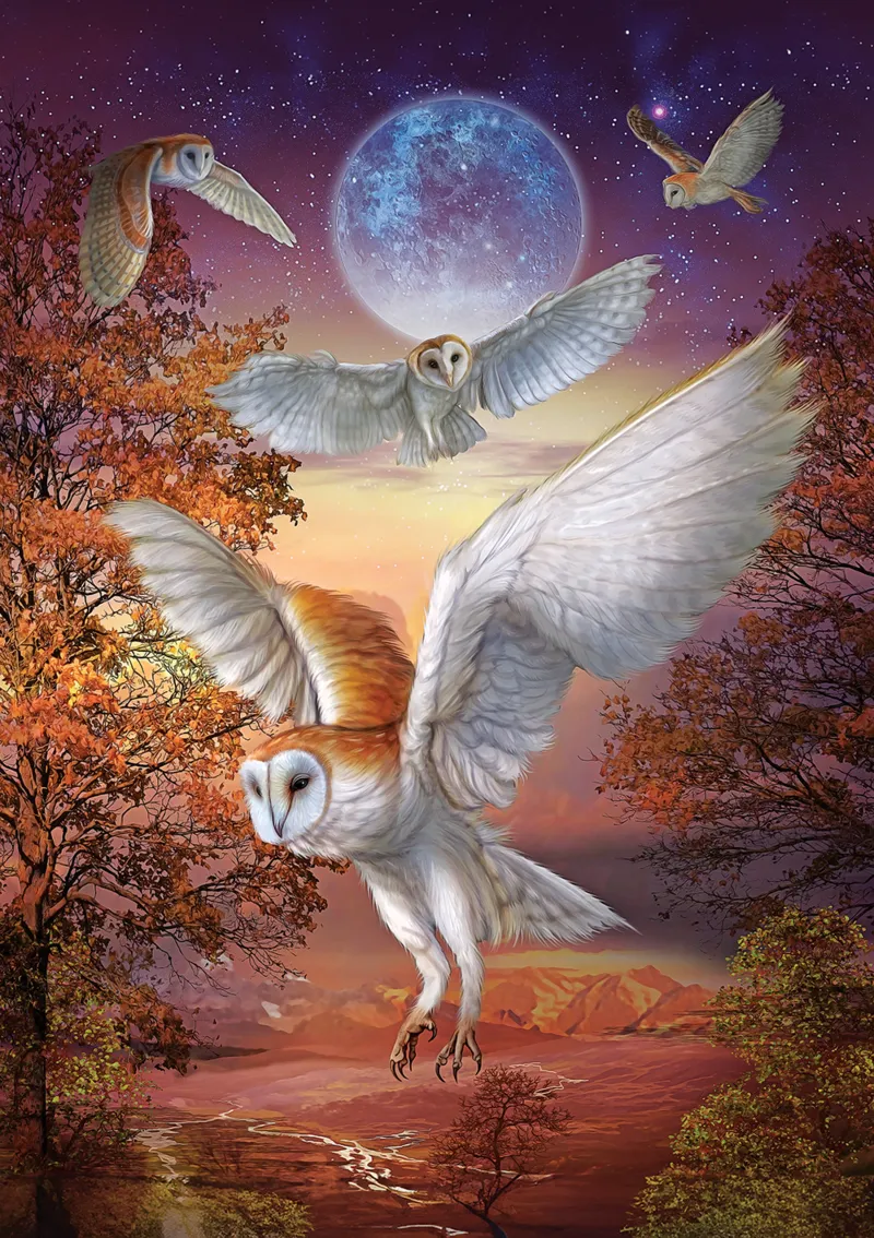 Hiboux au Clair de Lune