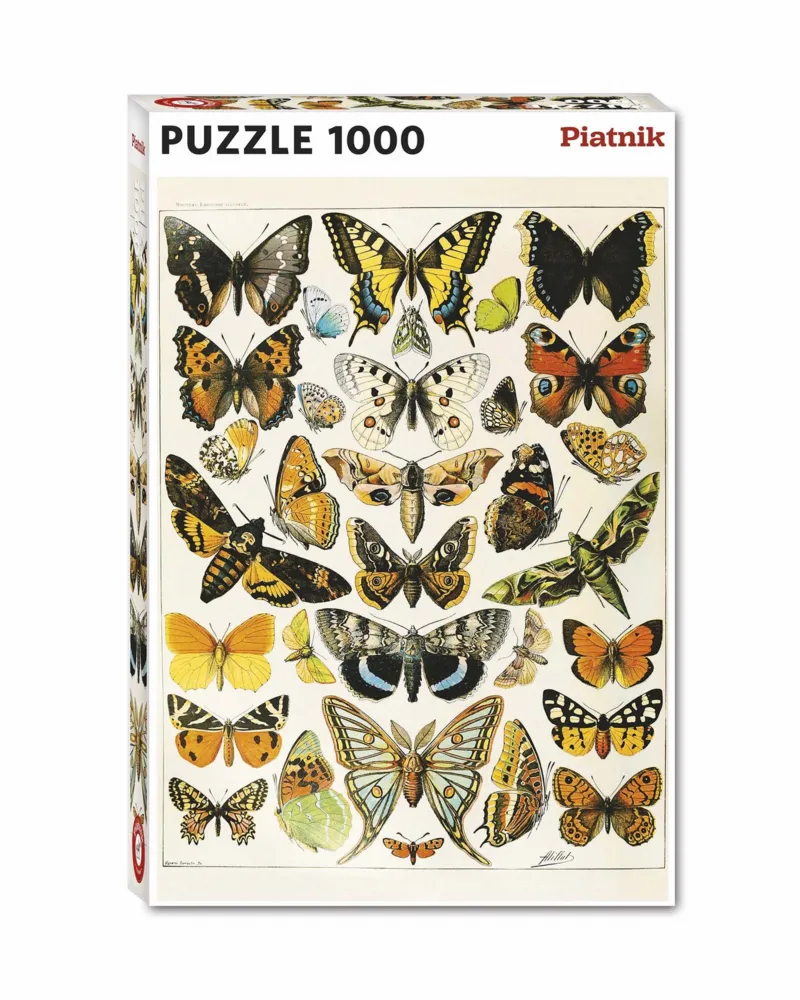 Papillons - Millot