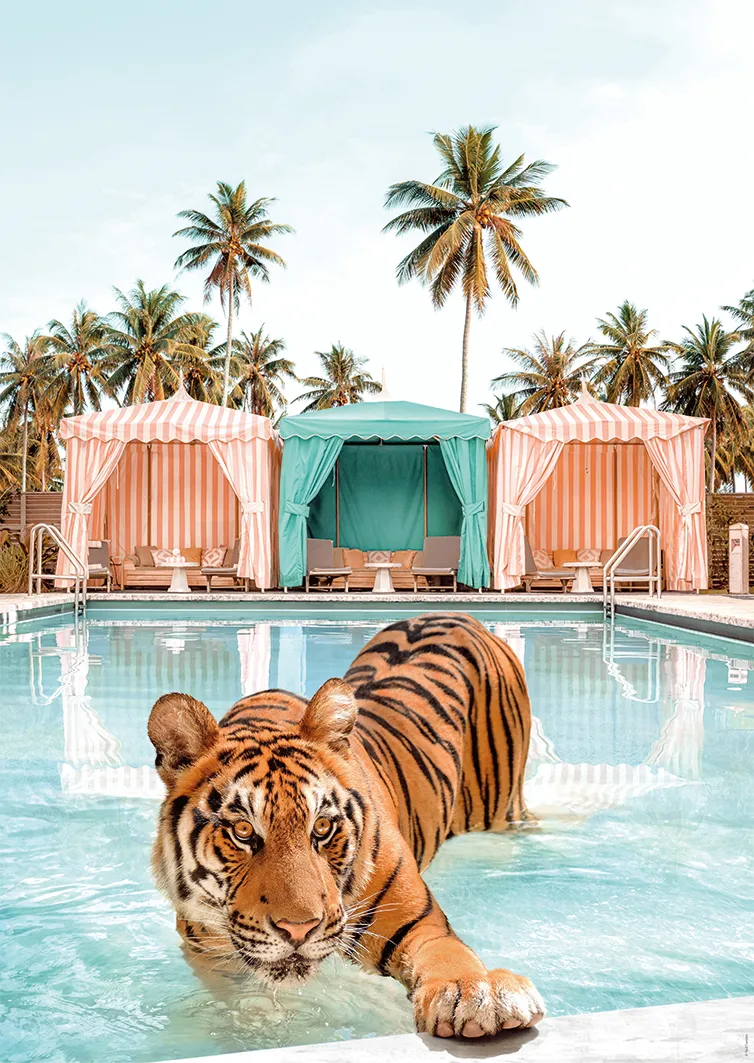 Baignade royale - Paul Fuentes Design