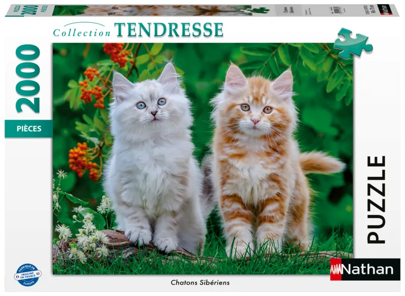 Chatons Sibériens