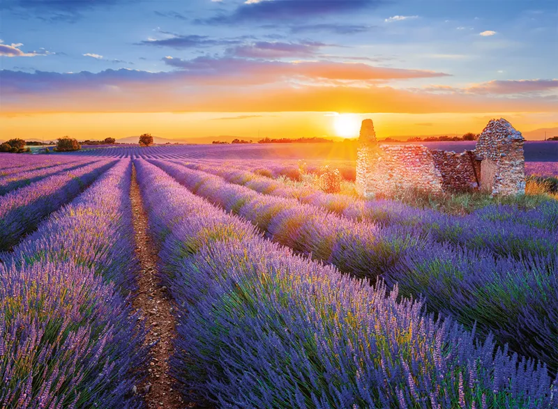 Collection Régions de France - Route de la Lavande, Valensole