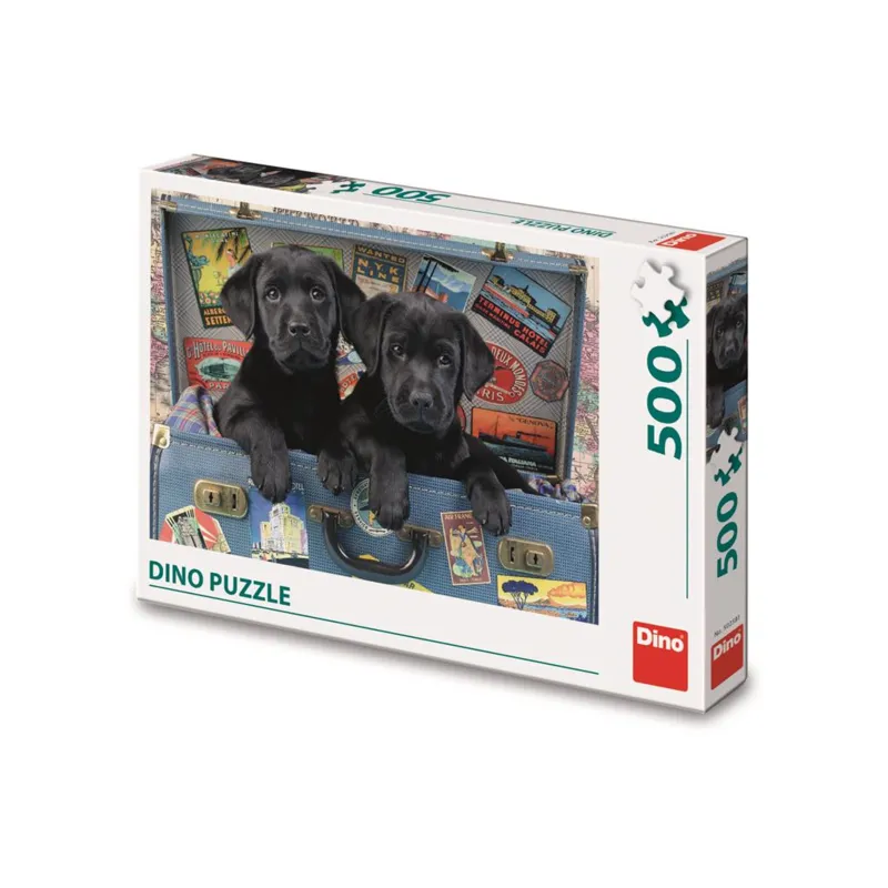 Chiots dans un Coffre