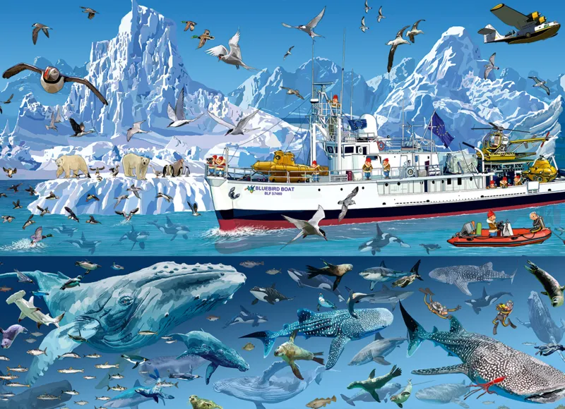 François Ruyer - Arctic - Bluebird Boat