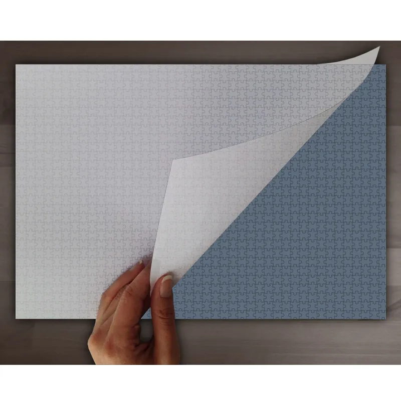 Colle pour Puzzle 1000 pièces
