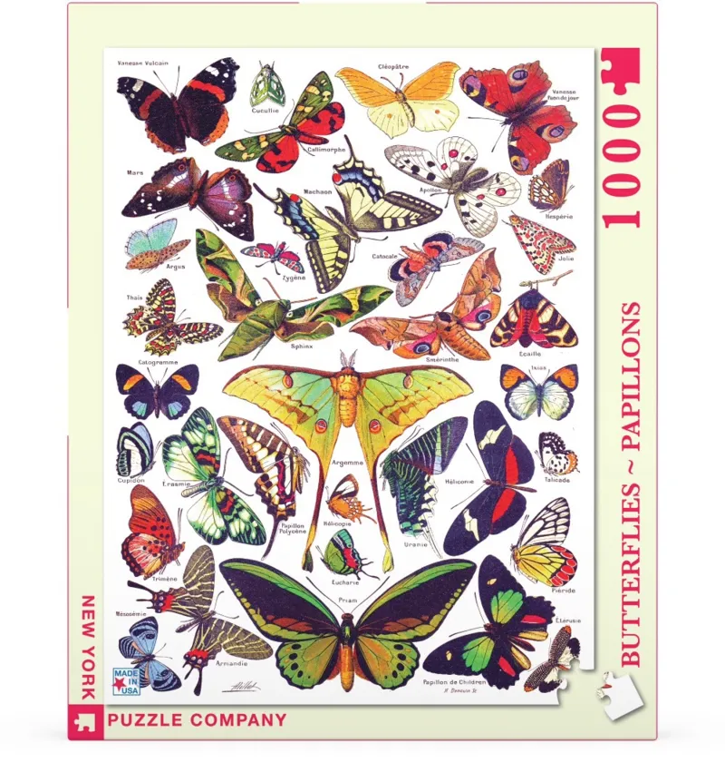 Butterflies - Papillons