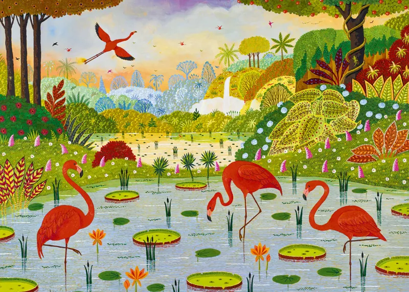 Flamants des Caraïbes