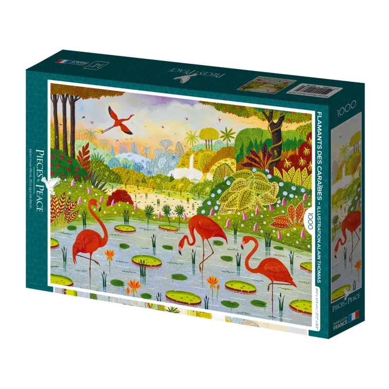 Flamants des Caraïbes