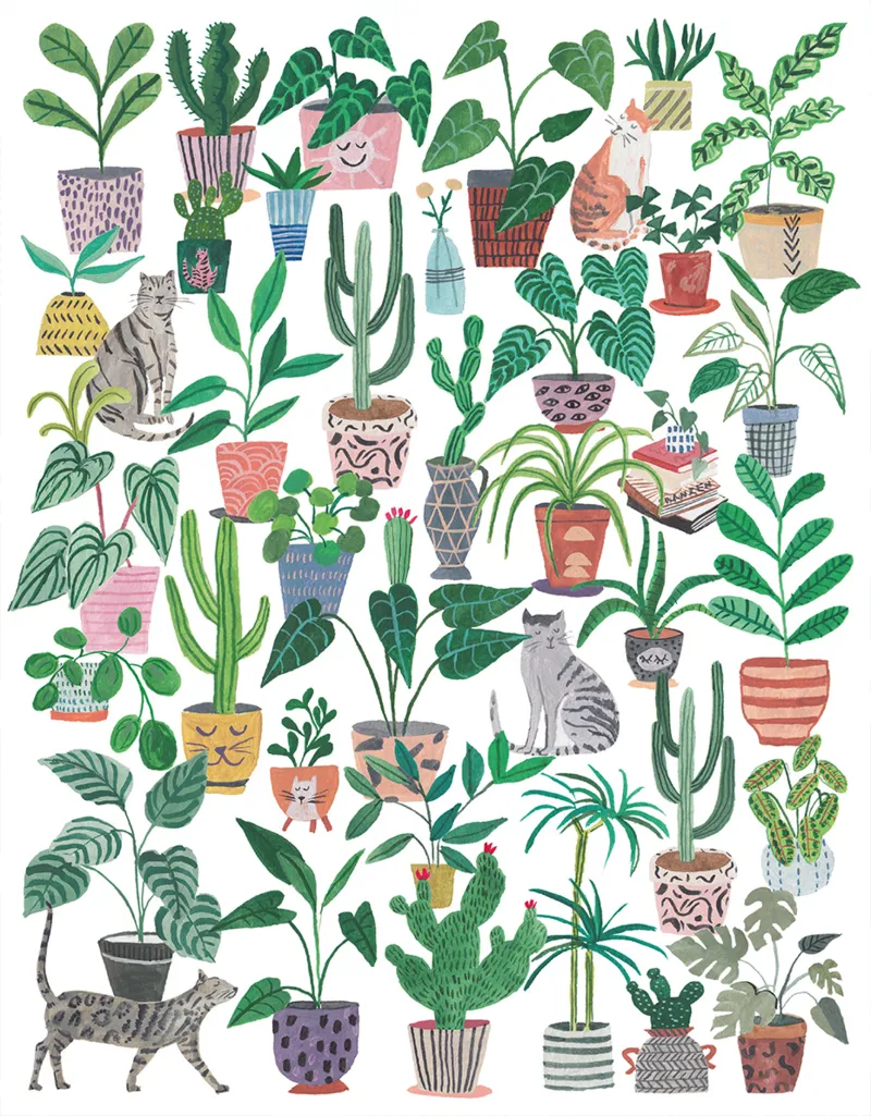 Chats et Plantes