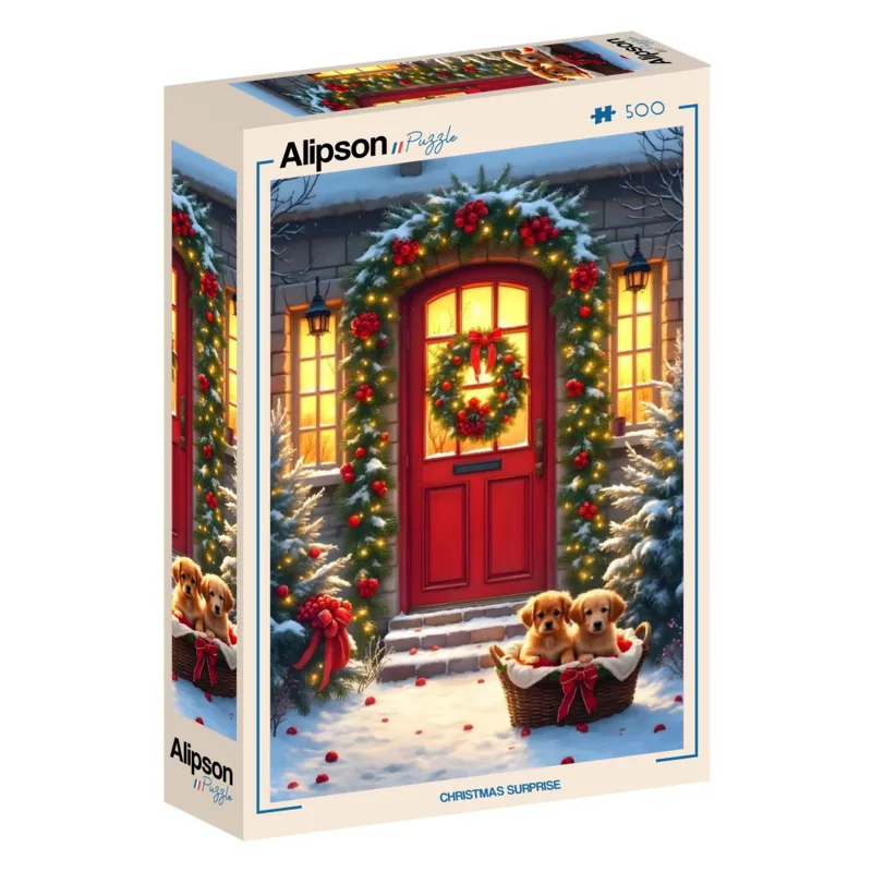 Surprise de Noël
