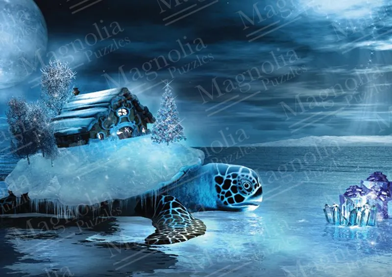House & Turtle