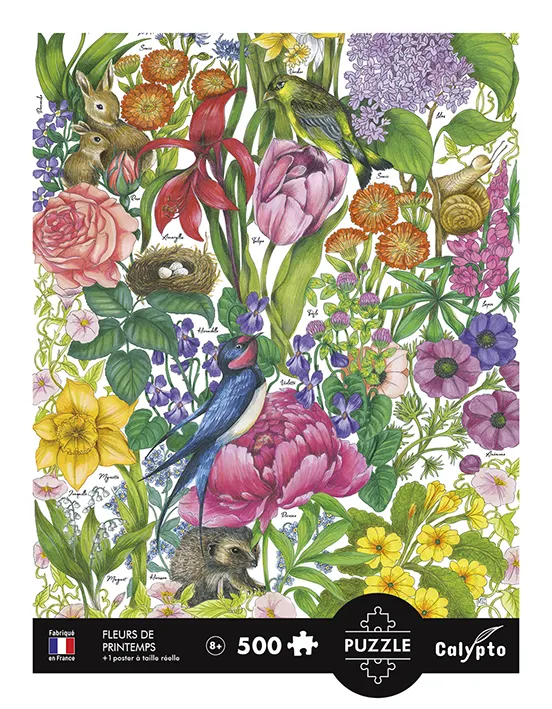 Les Fleurs De Printemps