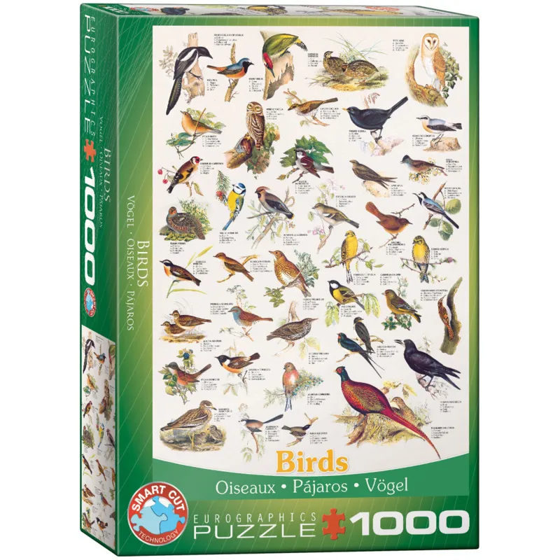 Affiche sur les Oiseaux