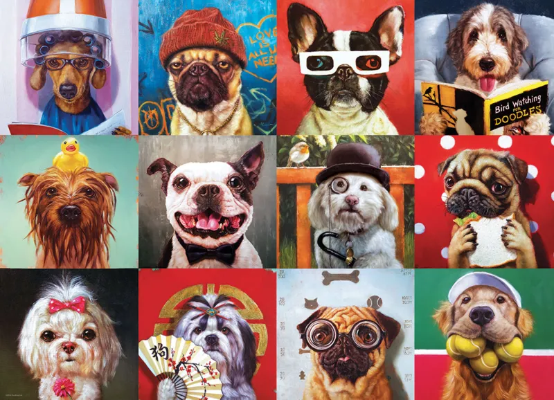 Funny Dogs