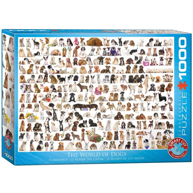 Un Monde de Chien