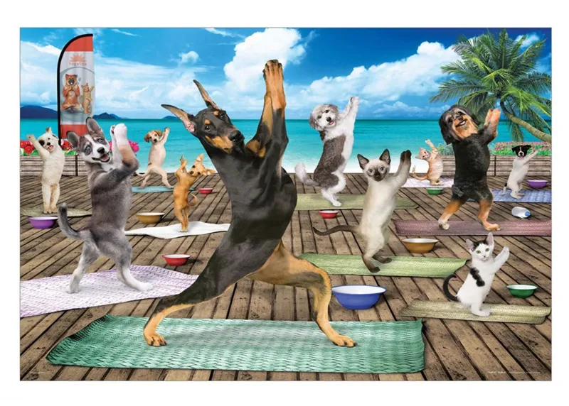 Pièces XXL - Yoga Spa