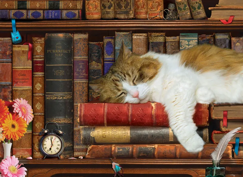 Pièces XXL - The Cat Nap
