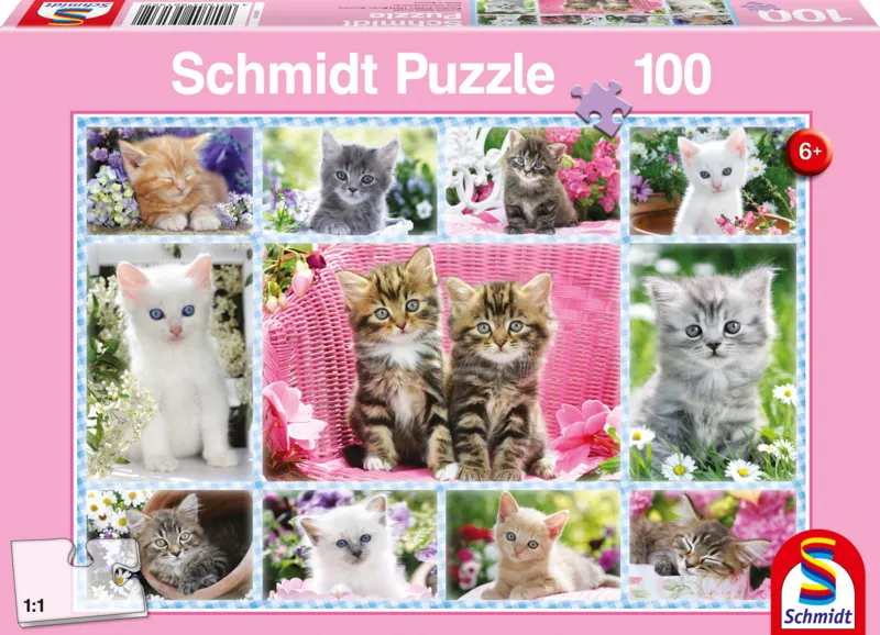 Chatons