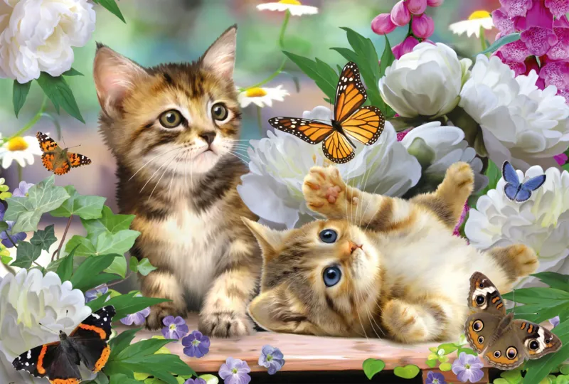 Chatons Espiègles