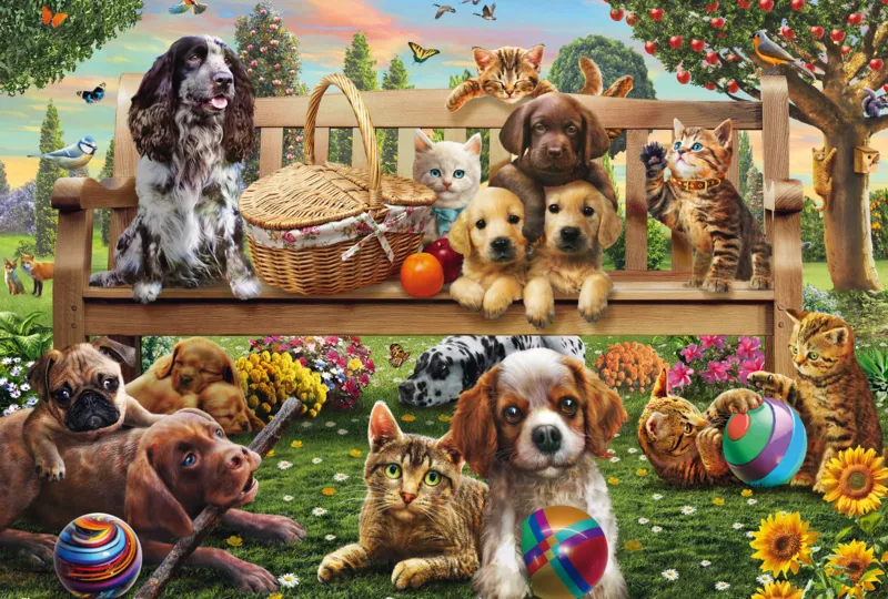 Chiens et Chats