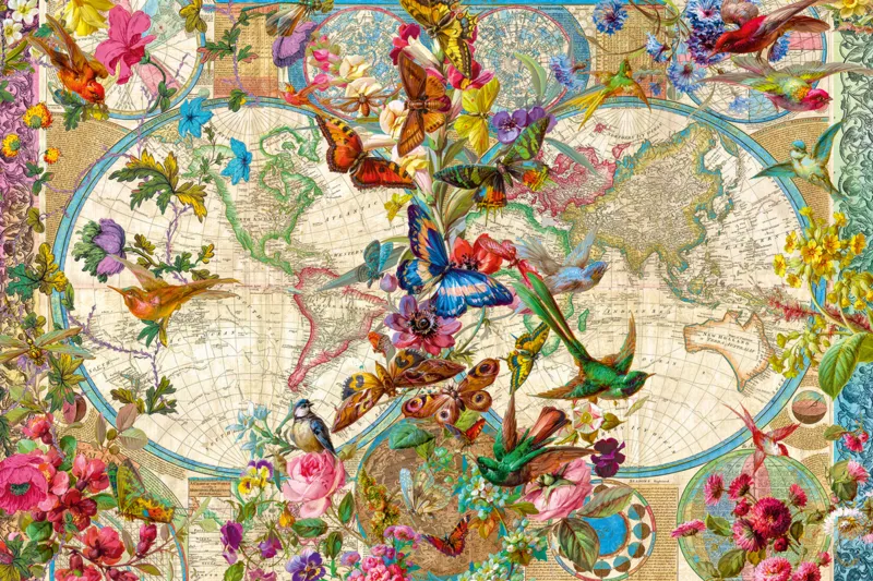 Carte Faune et Flore