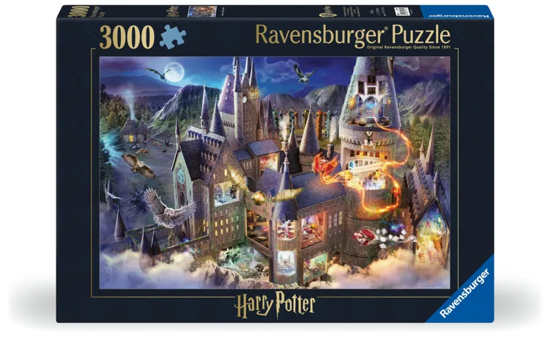 Vue sur le Château de Poudlard / Harry Potter