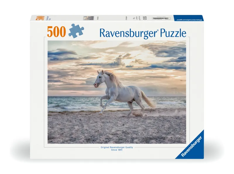 Cheval sur la Plage
