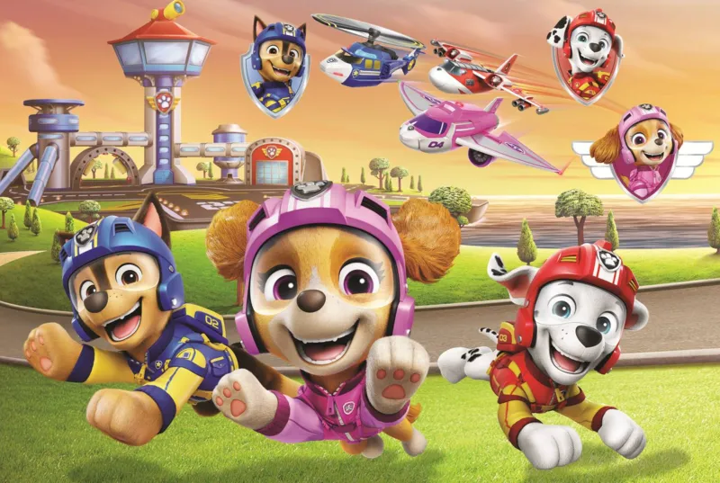 Les Chiens Sont Au Sommet - Viacom Pat'Patrouille