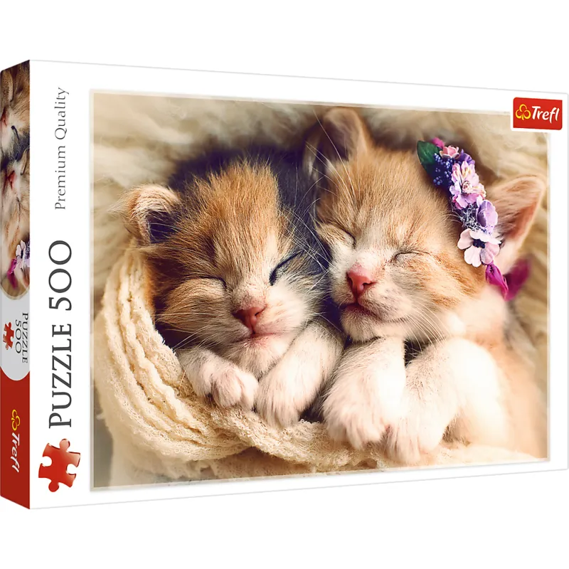 Chatons