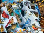 Oiseaux des Neiges