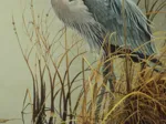 Pièces XXL - Great Blue Heron