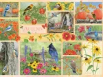 Oiseaux de Jardin en Automne