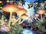 Ruisseau de Champignons