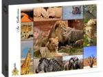 Collage - Wildlife