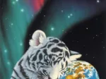 Schim Schimmel - Earth Lights