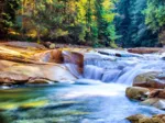 Belle Cascade dans la Forêt