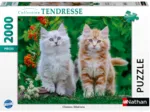Chatons Sibériens