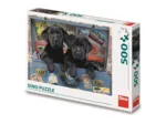 Chiots dans un Coffre