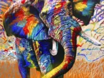 African Colours