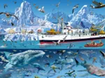 François Ruyer - Arctic - Bluebird Boat