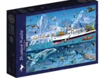 François Ruyer - Arctic - Bluebird Boat